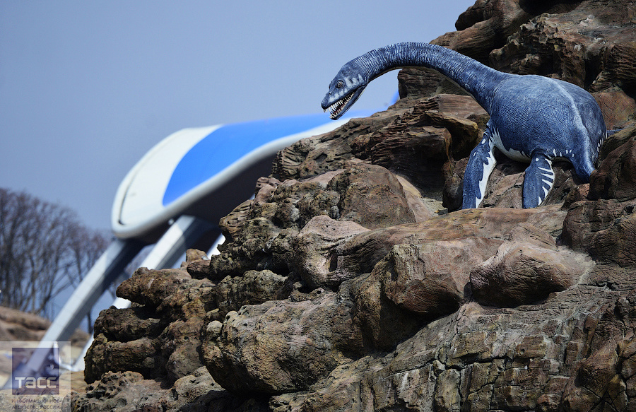 Океанариум Владивосток Остров Русский Купить Билеты