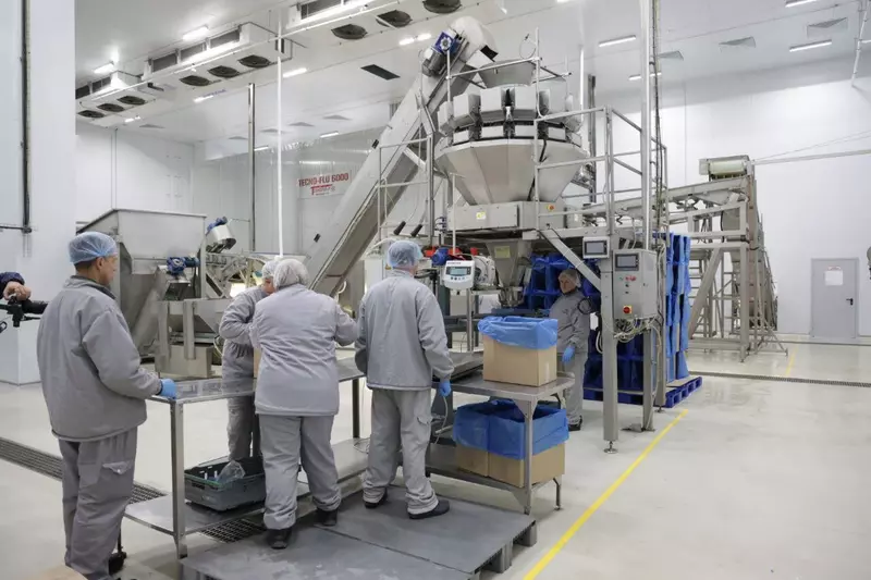 Изображение #5 для публикации «импортозамещение: В Тульской области запущен комплекс по выращиванию и переработке гороха и фасоли»