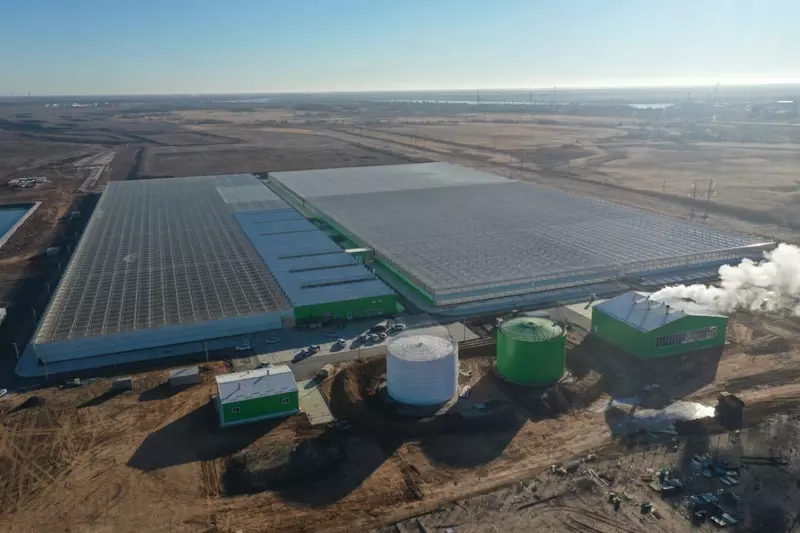 Фото №1 для статьи «Новые и модернизированные предприятия агропрома: В Астраханской области открылся новый тепличный комплекс»