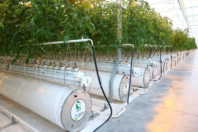 Изображение #3 для поста «Астраханская область: В Астраханской области открылся новый тепличный комплекс»