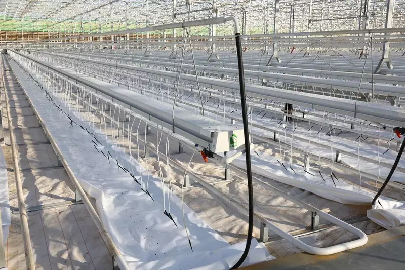 Изображение #2 для поста «тепличный комплекс: В Астраханской области открылся новый тепличный комплекс»