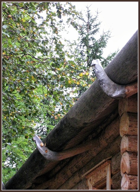 Кокора - в деревянном зодчестве ствол, как правило - ели, с одним ответвленным корнем, образующим крюк. Кокора использовалась в качестве стропила при устройстве безгвоздевых кровель