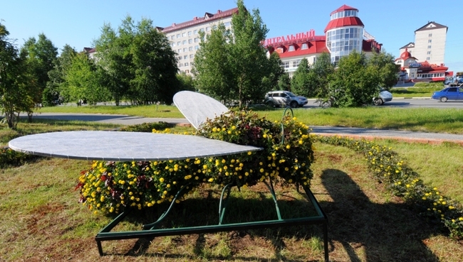 Улицы города ноябрьска. Ноябрьск лето. Статуя пчелы Ноябрьск. Ноябрьск город лето. Ноябрьск красивый город.