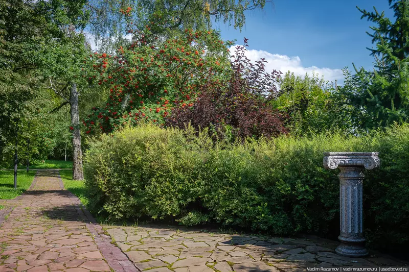 Изображение 9 для статьи «Воронино новости из жизни усадьбы в Ярославской области»