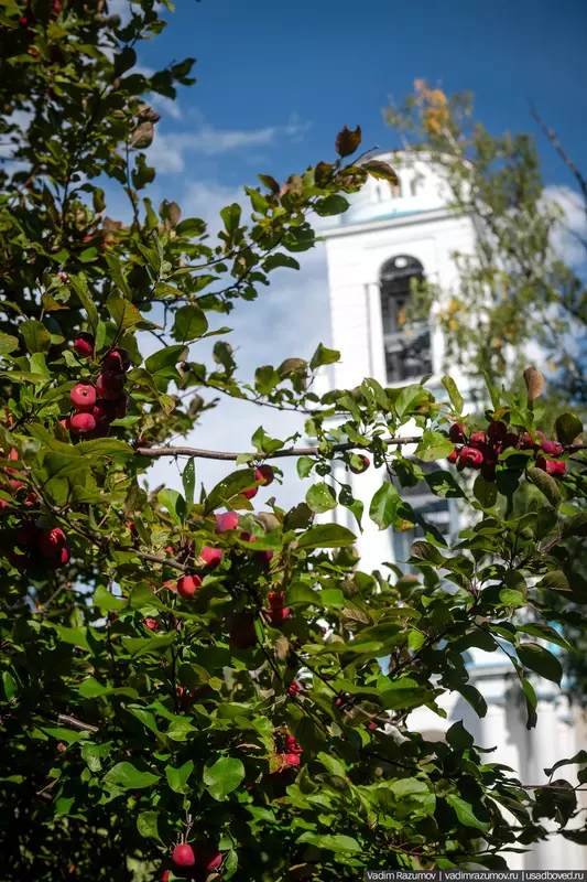 №8 для «Воронино новости из жизни усадьбы в Ярославской области»