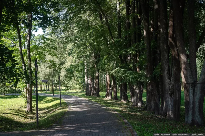 Картинка №20 для публикации «Воронино новости из жизни усадьбы в Ярославской области»