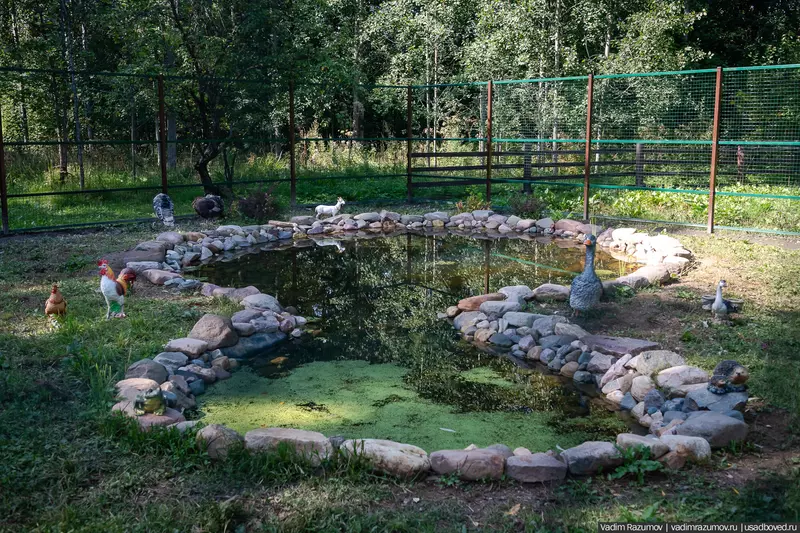 Изображение #22 для статьи «Воронино новости из жизни усадьбы в Ярославской области»