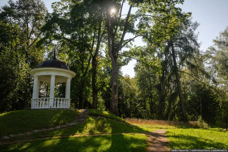 Иллюстрация №24 для публикации «Воронино новости из жизни усадьбы в Ярославской области»