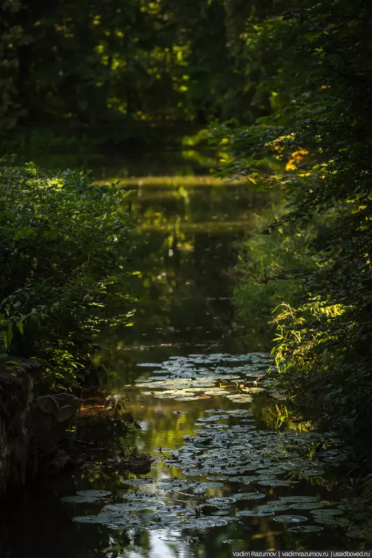 Изображение №27 для «Воронино новости из жизни усадьбы в Ярославской области»