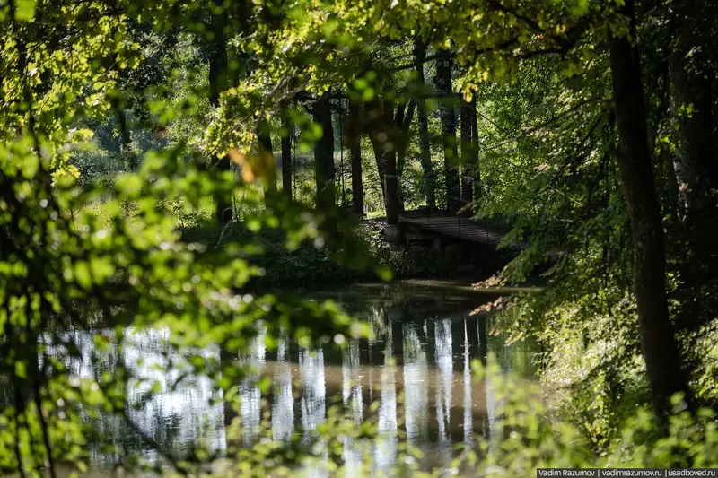 Картинка 29 для новости «Воронино новости из жизни усадьбы в Ярославской области»