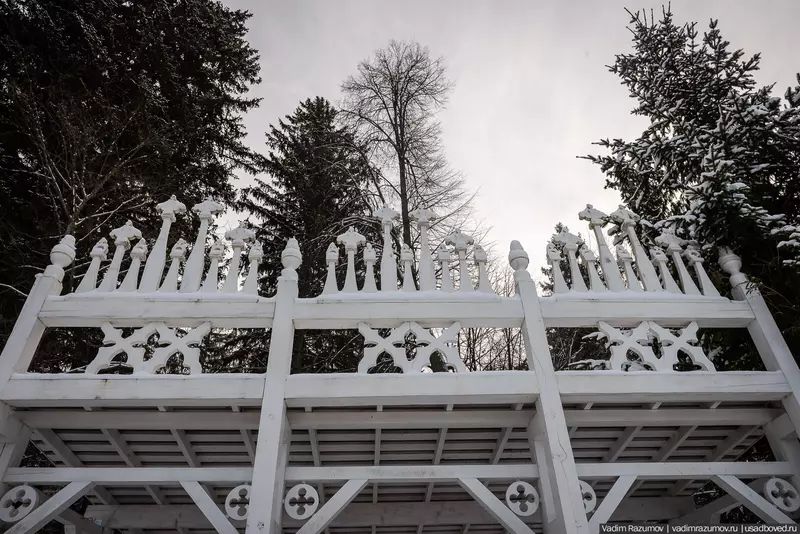 Изображение #26 для публикации «Зимняя сказка в усадьбе Степановское Волосово в Тверской области»