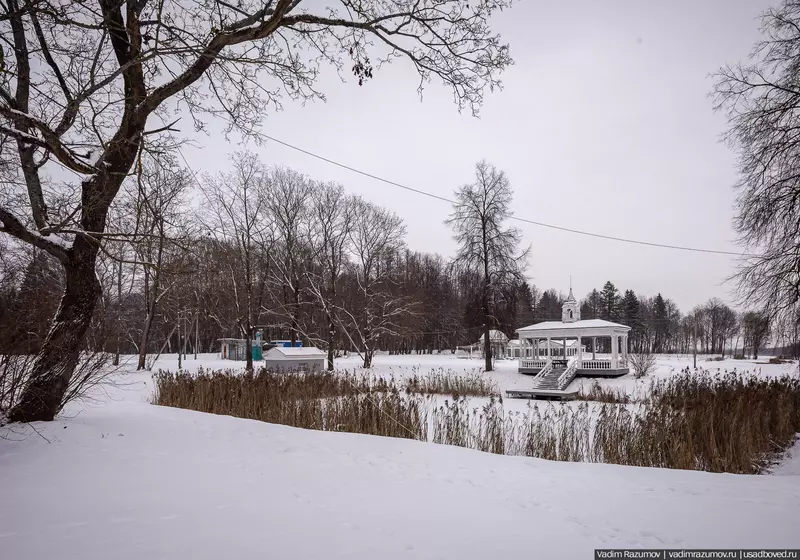 Иллюстрация #23 для поста «Зимняя сказка в усадьбе Степановское Волосово в Тверской области»