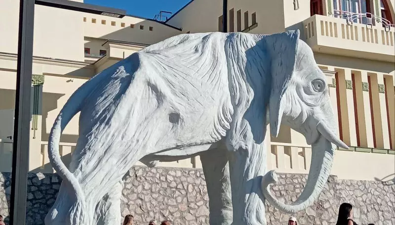 Фото №9 для новости «После реставрации в Самаре открыли Дом со слонами»