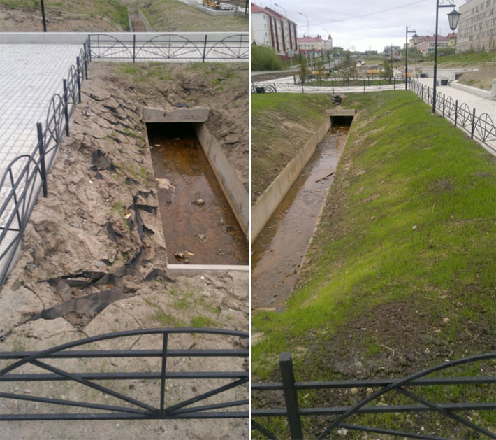 Томский криогель выдержал эксперимент по «сложному озеленению» на Ямале