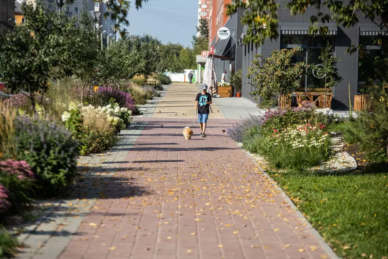 Изображение №13 для новости «Новости благоустройства территорий»