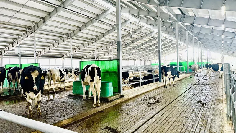 3 для поста «В Новосергиевском районе Оренбургской области запустили в работу новый молочный комплекс»