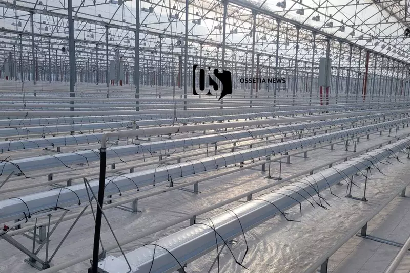 Картинка #5 для статьи «В Северной Осетии открылся тепличный комплекс Алания»