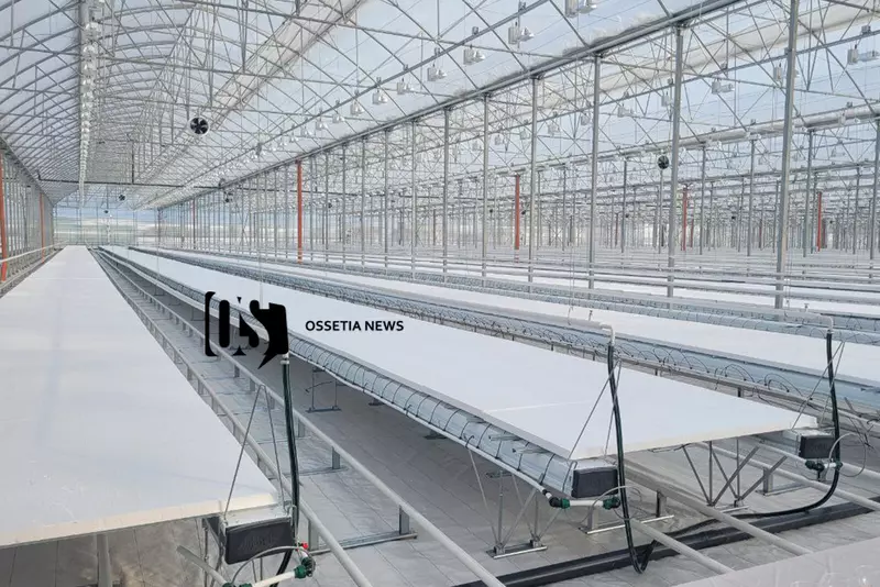 Изображение 4 для поста «сельское хозяйство: В Северной Осетии открылся тепличный комплекс Алания»