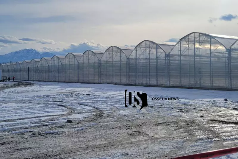 #2 для «тепличный комплекс: В Северной Осетии открылся тепличный комплекс Алания»