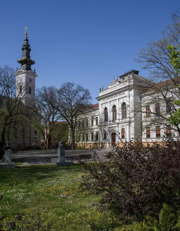 Картинка #3 для поста «общество: В Сербии открылся Центр изучения русского языка»