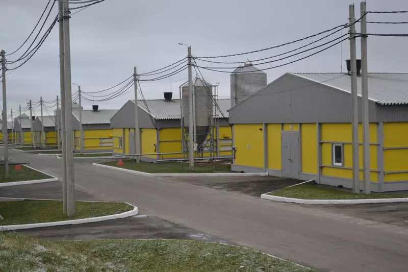 Картинка #1 для новости «Новые и модернизированные предприятия агропрома: Холдинг Русское поле построил 18 новых птичников в Нижегородской области»