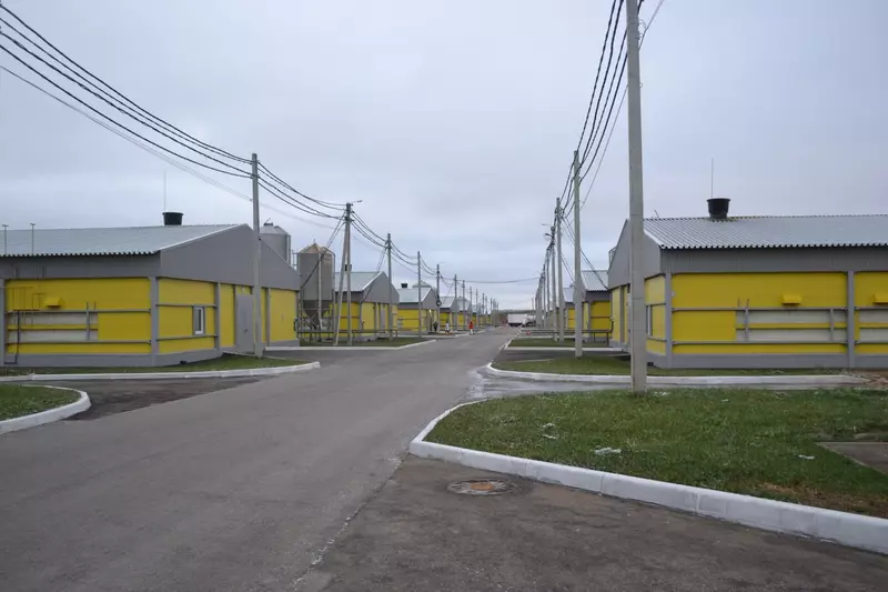 Холдинг Русское поле построил 18 новых птичников в Нижегородской области