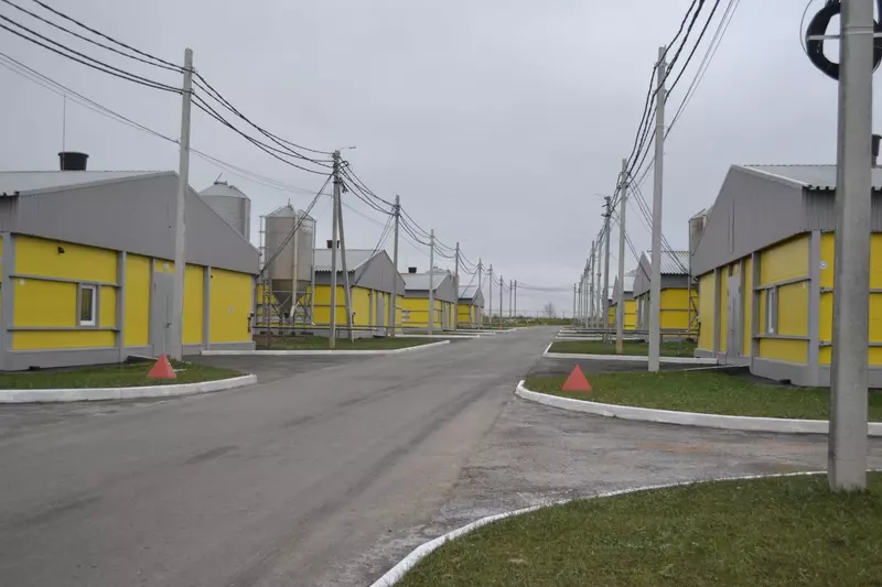 Иллюстрация 2 для новости «Нижегородская область: Холдинг Русское поле построил 18 новых птичников в Нижегородской области»