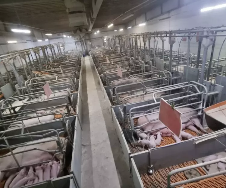 В Калужской области фермер расширил хозяйство благодаря господдержке