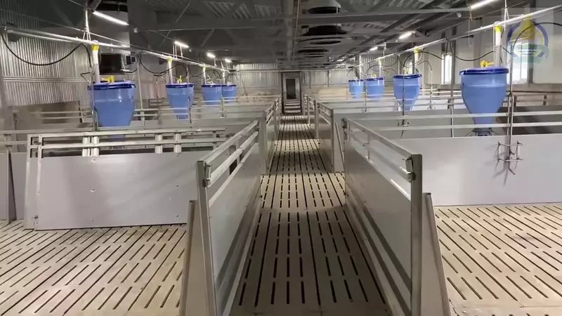 2 для публикации «свинокомплексы: Сибагро завершило строительство второй очереди Восточно Сибирского свинокомплекса»