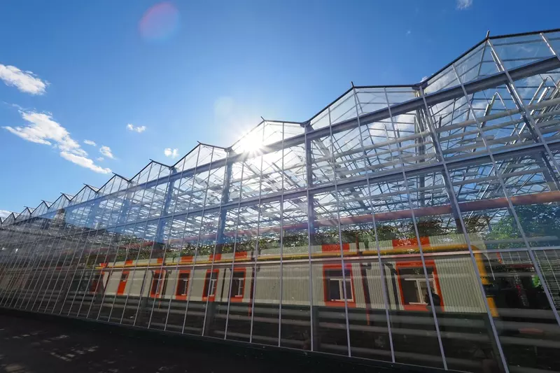 Изображение #1 для новости «Новые и модернизированные предприятия агропрома: В Мордовии запущен тепличный комплекс»