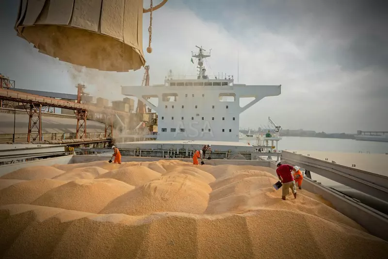 Россия в половине сельскохозяйственного года обновила рекорд по поставкам зерна