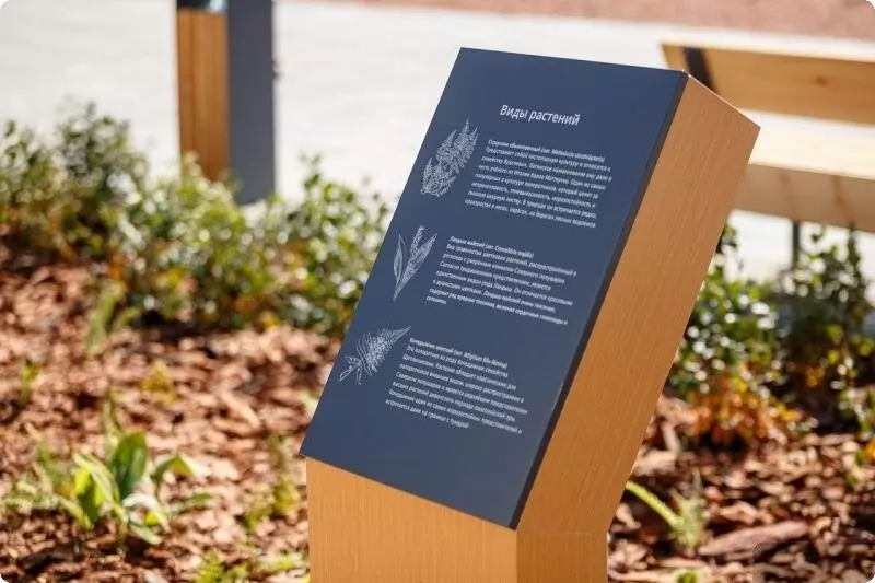 #4 для новости «благоустройство: В Екатеринбурге завершено благоустройство Солнечных аллей»