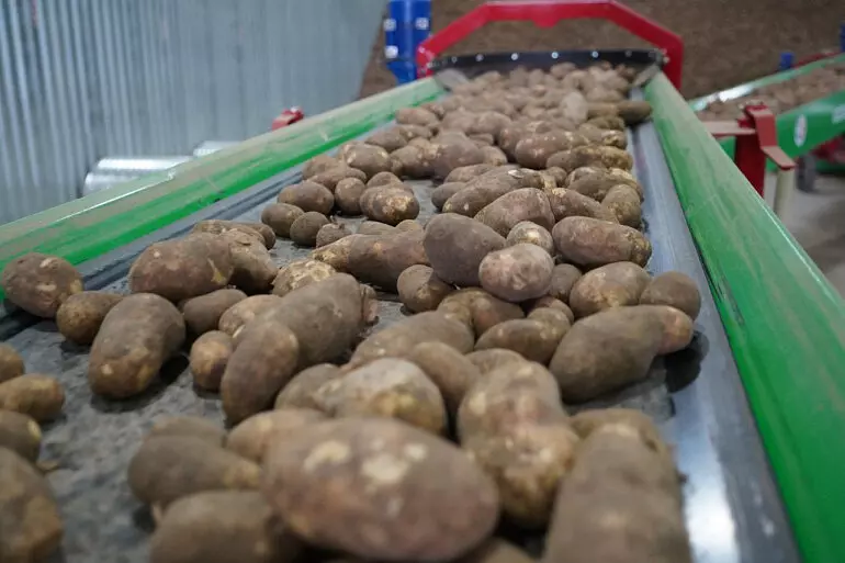 Мираторг запустил в Брянской области новый комплекс по выращиванию и хранению товарного картофеля
