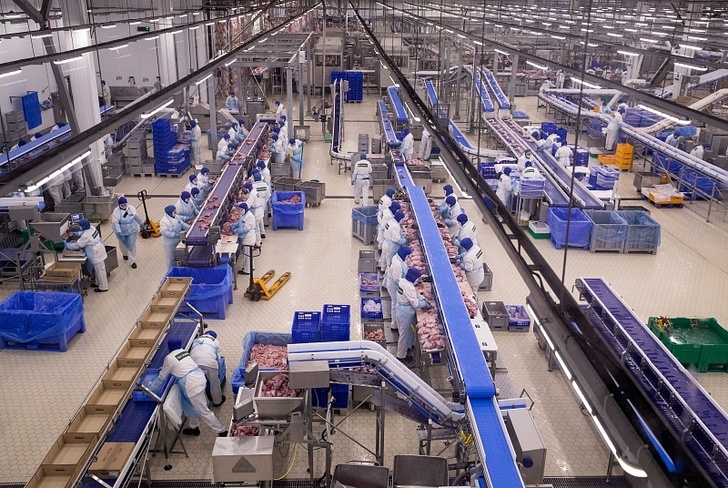 Компания «Дамате» открыла крупнейший в Европе завод глубокой переработки индейки