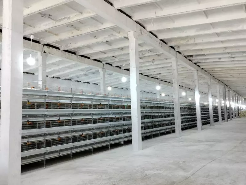 #2 для поста «птицеводство: Модернизированный цех Читинской птицефабрики открылся в селе Маккавеево»