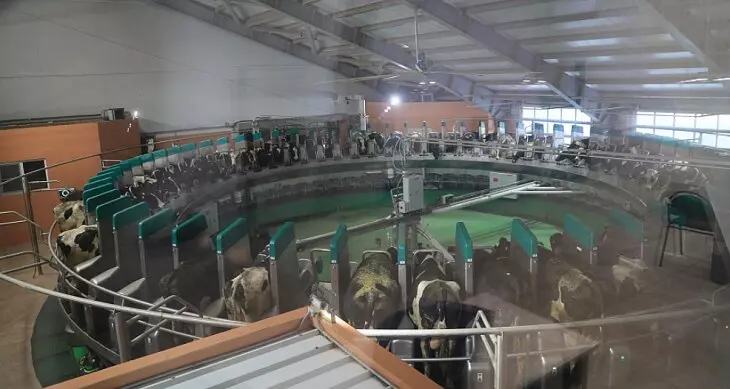 Картинка №4 для поста «Новые предприятия АПК и пищевой промышленности в январе феврале 2025 года»