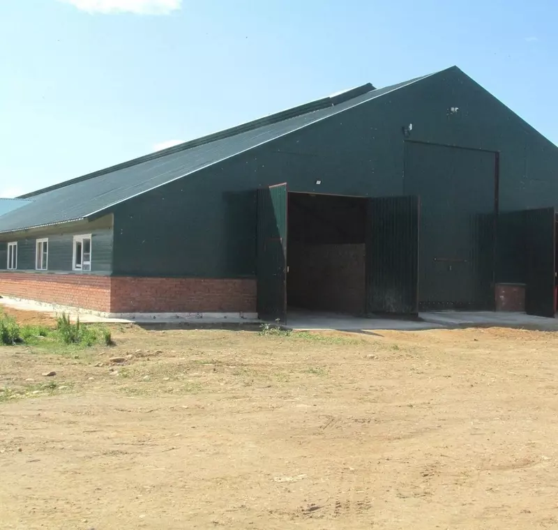 #2 для поста «производство молока: В Тарногском округе Вологодской области после реконструкции открылась животноводческая ферма»