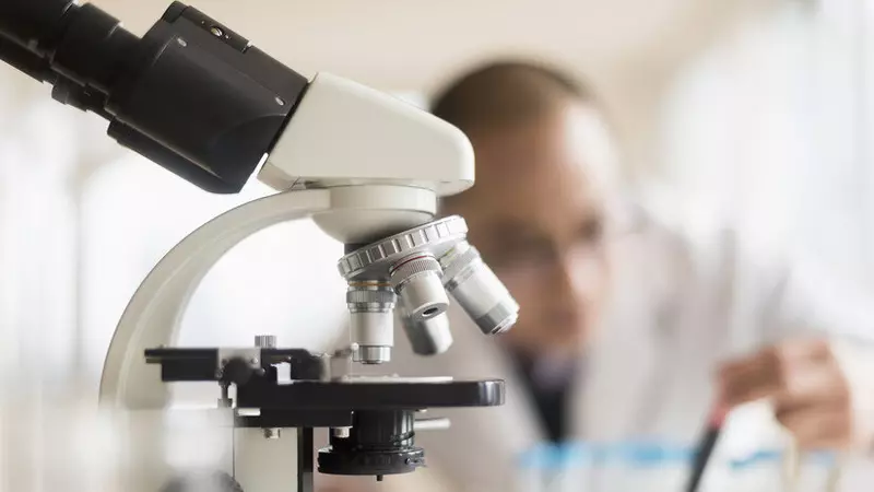 Уникальные свойства российские учёные создали материал для оптики нового поколения