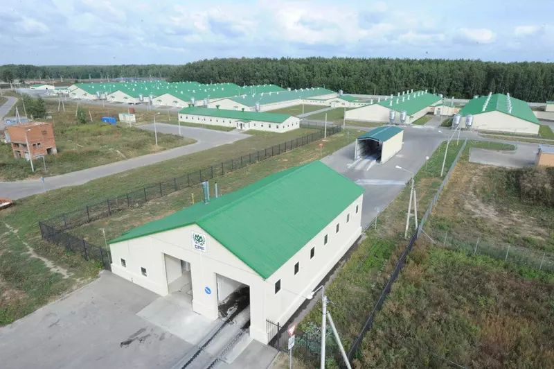 Иллюстрация №1 для статьи «Новые и модернизированные предприятия агропрома: В Подмосковье реконструировали свиноводческий комплекс»