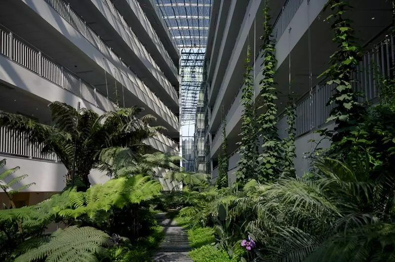 Фото #3 для «туризм: В Сочи открыли первый за 25 лет новый санаторий»