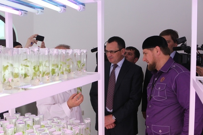 посещение научно-производственной фирмы «Сады Чечни»