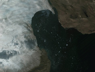 Выводной ледник, айсберги у берегов Новой Земли в Карском море. Снимок EROS B, дата съемки 3 сентября 2012 г. (с) ImageSat, ИТЦ «СКАНЭКС»