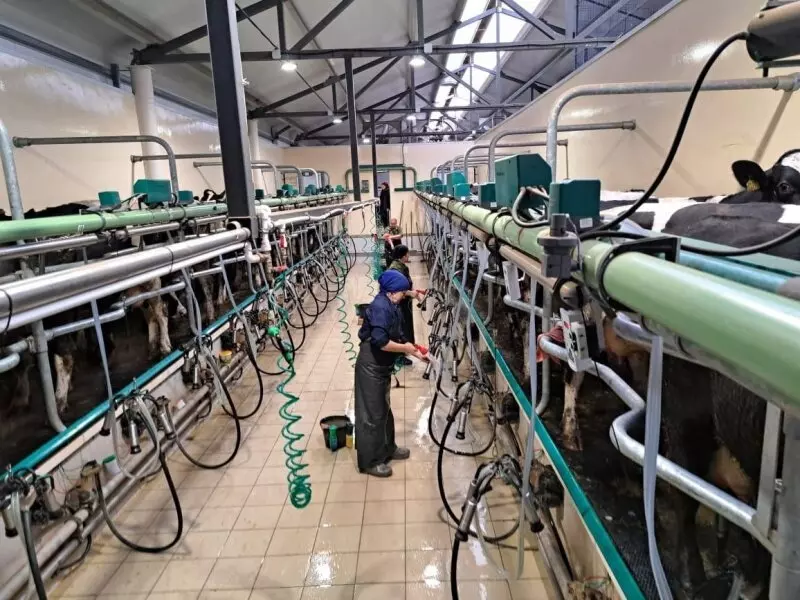 Картинка #2 для статьи «производство молока: На севере Самарской области открыта новая молочно товарная ферма»