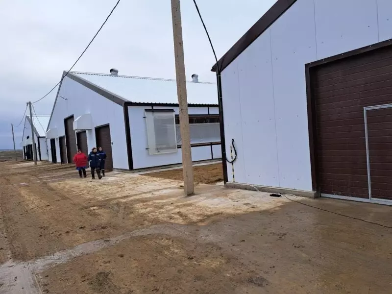 Фото №1 для публикации «Новые и модернизированные предприятия агропрома: На севере Самарской области открыта новая молочно товарная ферма»