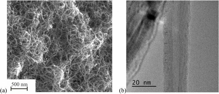 Электронные изображения полученных массивов нанотрубок