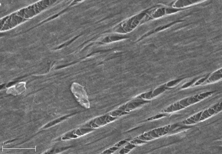 Иллюстрация #2 для статьи «инновации: Эффективность лазеров ультракоротких импульсов удалось повысить на 30 благодаря нанотрубкам»