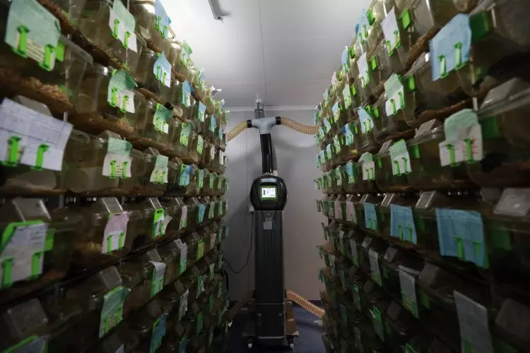 Изображение 1 для «Медицина и Фармацевтика: В МГУ открылся центр генетических исследований»