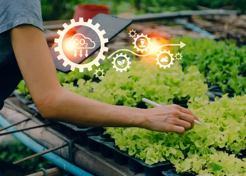 Электронный агроном облегчит работу фермерам России