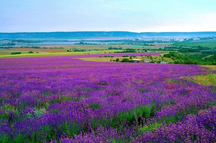 Крымский Прованс.