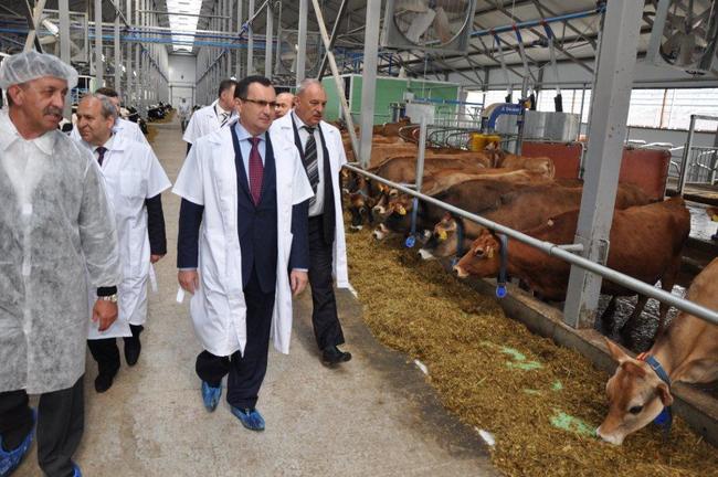 23 мая министр сельского хозяйства РФ Николай Федоров посетил роботизированную молочную ферму ОАО "Вакинское-Агро"